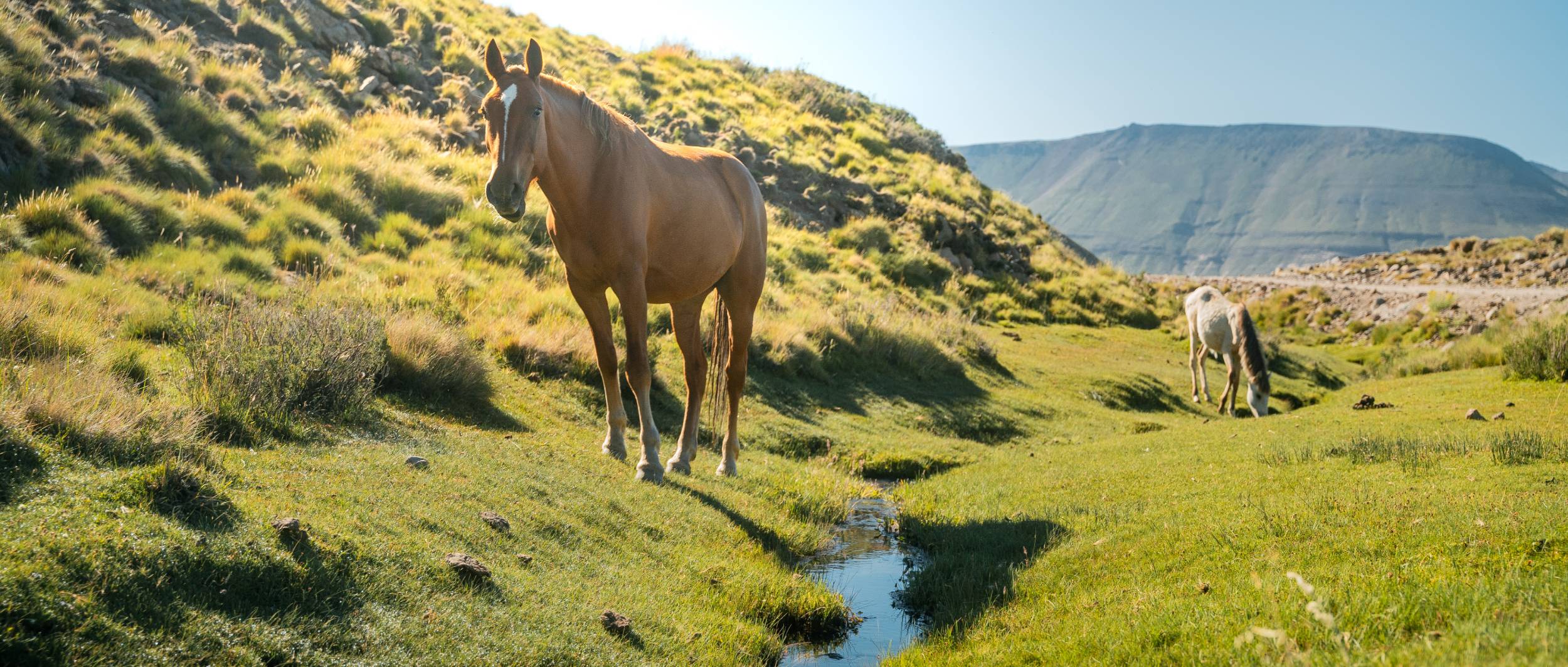 Nieves del Cerro hotel y spa